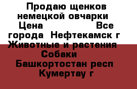 Продаю щенков немецкой овчарки › Цена ­ 5000-6000 - Все города, Нефтекамск г. Животные и растения » Собаки   . Башкортостан респ.,Кумертау г.